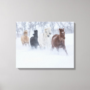Paarden die door de sneeuw rennen canvas afdruk