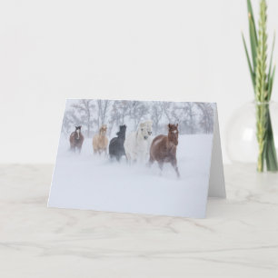 Paarden die door de sneeuw rennen kaart
