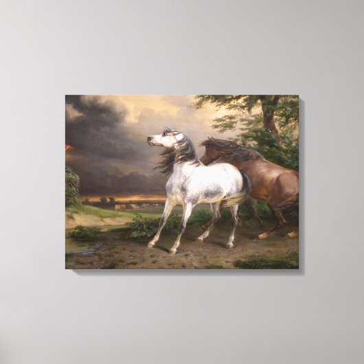 Paarden die door het Storm zijn bevrucht (door Car Canvas Afdruk (Voorkant)