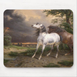 Paarden die door het Storm zijn bevrucht (door Car Muismat