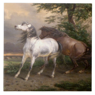 Paarden die door het Storm zijn bevrucht (door Car Tegeltje