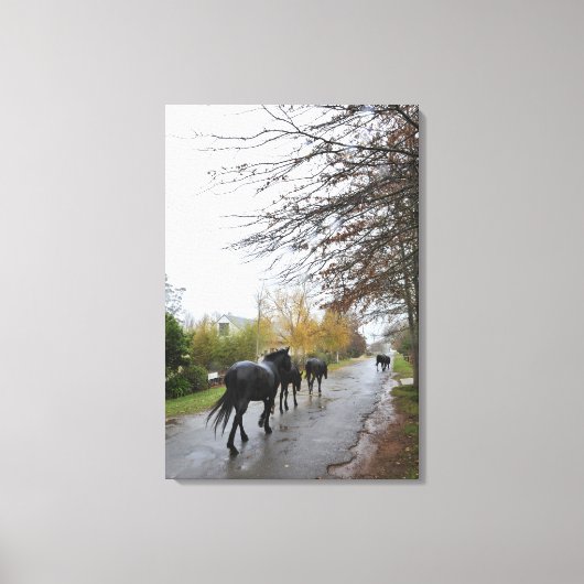 Paarden die door Oak Street lopen in de regen, Gre Canvas Afdruk (Voorkant)