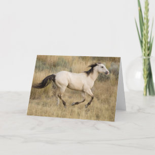 Paarden die door Prairie Grass lopen Kaart
