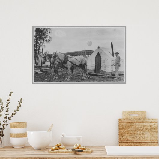 Paarden die een gebouw trekken poster (Keuken)