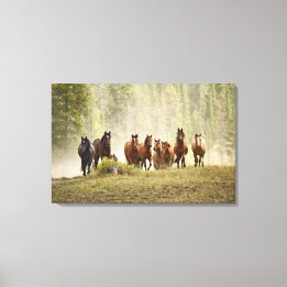 Paarden die een kleine heuvel beklimmen tijdens ee canvas afdruk
