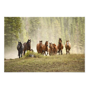 Paarden die een kleine heuvel beklimmen tijdens ee foto afdruk