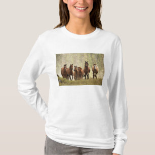 Paarden die een kleine heuvel beklimmen tijdens ee t-shirt