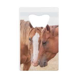 Paarden die elkaar in een wei aaien creditkaart flessenopener