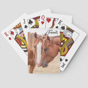 Paarden die elkaar in een wei aaien pokerkaarten