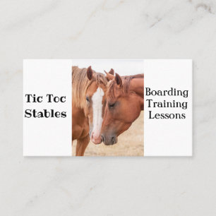 Paarden die elkaar in een wei aaien visitekaartje