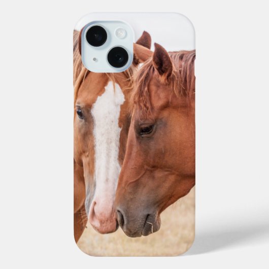 Paarden die elkaar in een wei besnuffelen Case-Mate iPhone case (Achterkant)