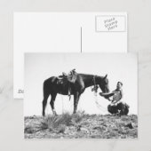 Paarden die eten uit het pet van een cowboy. briefkaart (Voorkant / Achterkant)