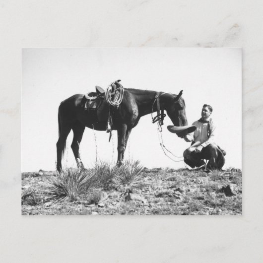 Paarden die eten uit het pet van een cowboy. briefkaart (Voorkant)