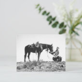 Paarden die eten uit het pet van een cowboy. briefkaart (Staand voorkant)