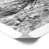 Paarden die eten uit het pet van een cowboy. poster (Hoek)