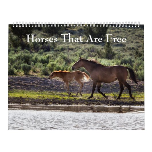 Paarden die gratis kalender zijn (Hoes)