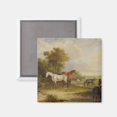 Paarden die grazen: een grijze steenvlek met Mares Magneet (Voorkant / Achterkant)