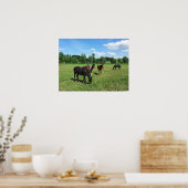 Paarden die grazen in een groendeeg poster (Keuken)