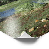 Paarden die grazen onder de Sierra Nevada Mountain Foto Afdruk (Hoek)