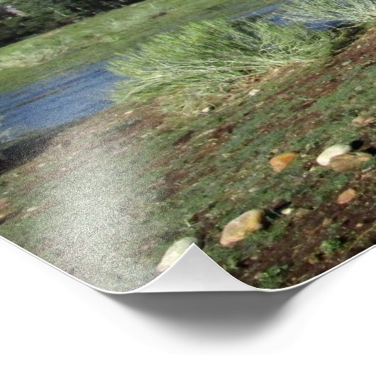 Paarden die grazen onder de Sierra Nevada Mountain Foto Afdruk (Hoek)