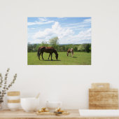 Paarden die grazen op Fields Beauful Sky Poster (Keuken)