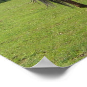 Paarden die grazen op Fields Beauful Sky Poster (Hoek)