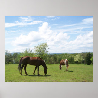 Paarden die grazen op Fields Beauful Sky Poster