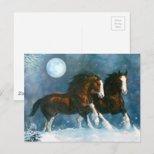 Paarden die in de sneeuw lopen briefkaart (Voorkant / Achterkant)