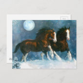 Paarden die in de sneeuw lopen briefkaart (Voorkant / Achterkant)