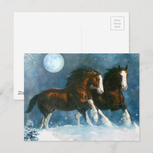 Paarden die in de sneeuw lopen briefkaart (Voorkant / Achterkant)