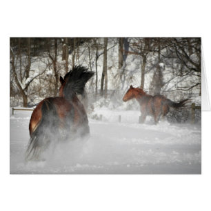 Paarden die in de sneeuwkaart lopen