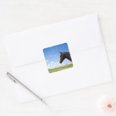 Paarden die in de weide staan vierkante sticker (Envelop)