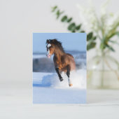 Paarden die in de winter door het veld lopen briefkaart (Staand voorkant)