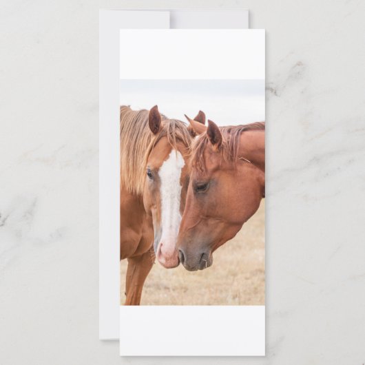 Paarden die in een graslerkaart doorboren (Achterkant)