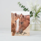 Paarden die in een weiland snuiven briefkaart (Staand voorkant)