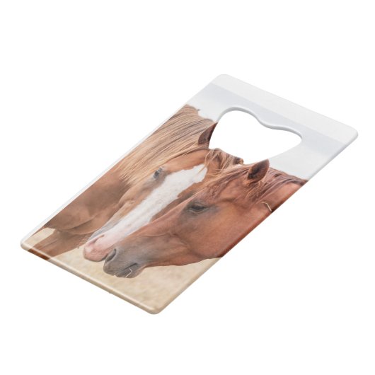 Paarden die in een weiland snuiven creditkaart flessenopener (Voorkant Gekanteld)