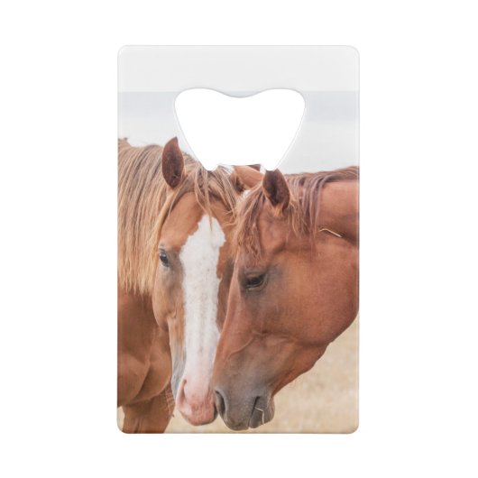 Paarden die in een weiland snuiven creditkaart flessenopener (Achterkant)