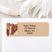 Paarden die in een weiland snuiven etiket (Insitu)