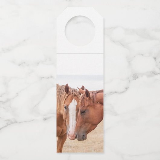 Paarden die in een weiland snuiven flessenhanger (Achterkant)