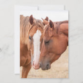 Paarden die in een weiland snuiven kaart (Achterkant)