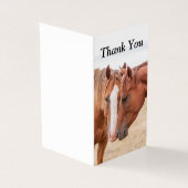 Paarden die in een weiland snuiven kaart (Buitenkant)