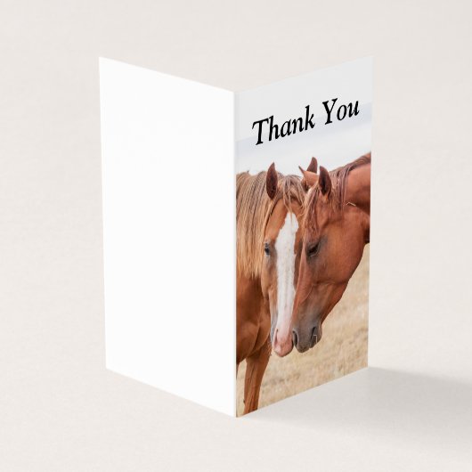 Paarden die in een weiland snuiven kaart (Buitenkant)