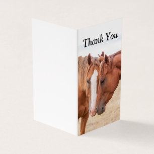 Paarden die in een weiland snuiven kaart