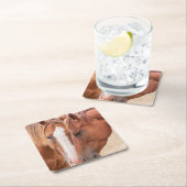 Paarden die in een weiland snuiven kartonnen onderzetters (Insitu)