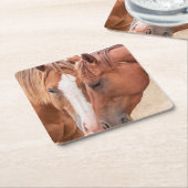 Paarden die in een weiland snuiven kartonnen onderzetters (Schuin)