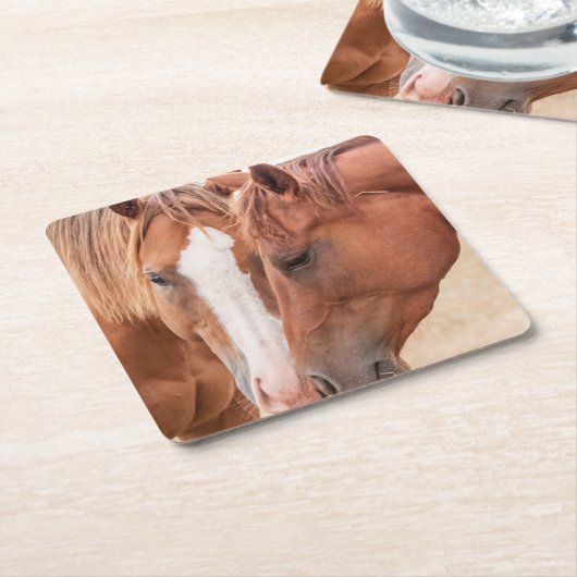 Paarden die in een weiland snuiven kartonnen onderzetters (Schuin)