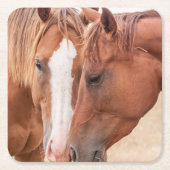 Paarden die in een weiland snuiven kartonnen onderzetters (Voorkant)