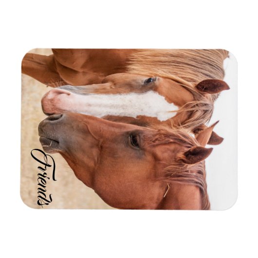 Paarden die in een weiland snuiven magneet (Horizontaal)