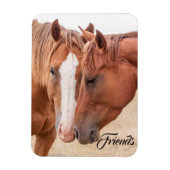 Paarden die in een weiland snuiven magneet (Verticaal)