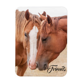 Paarden die in een weiland snuiven magneet